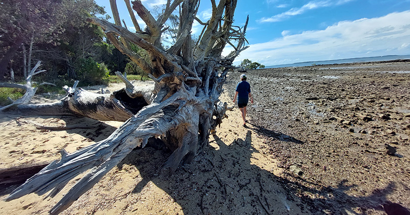 What to do on Coochiemudlo Island