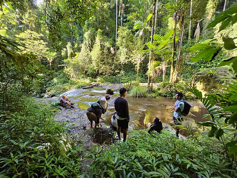 Best hikes near Brisbane