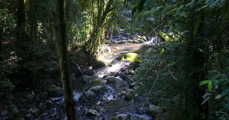 Best hikes near Brisbane