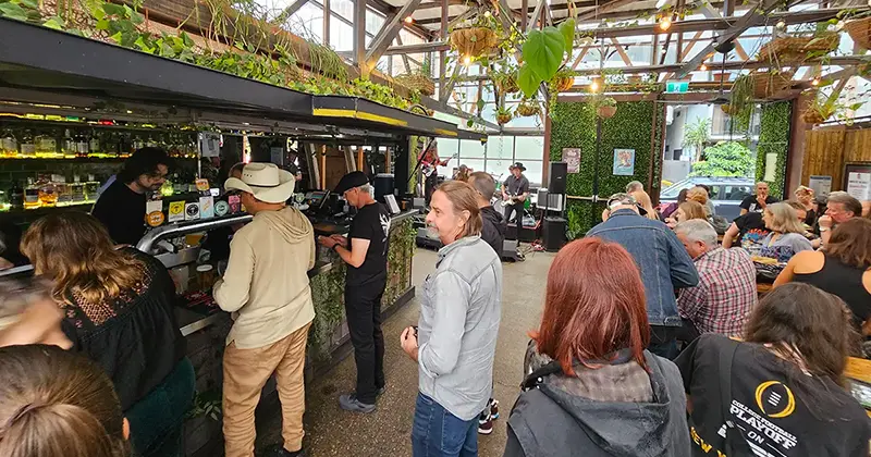 The Triffid - Brisbane Sunday session on a rainy afternoon