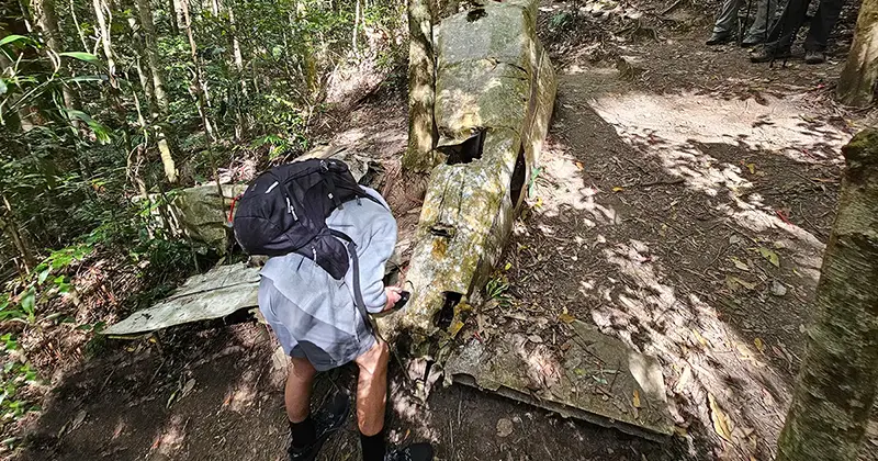 Mount Glorious walk to the Piper Comanche Wreck